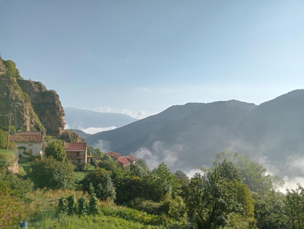 CavaCal Ferrer Habitatge Rural别墅 外观 照片